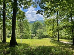 1.65 Acs Daves Rd, Morganton, GA 30560