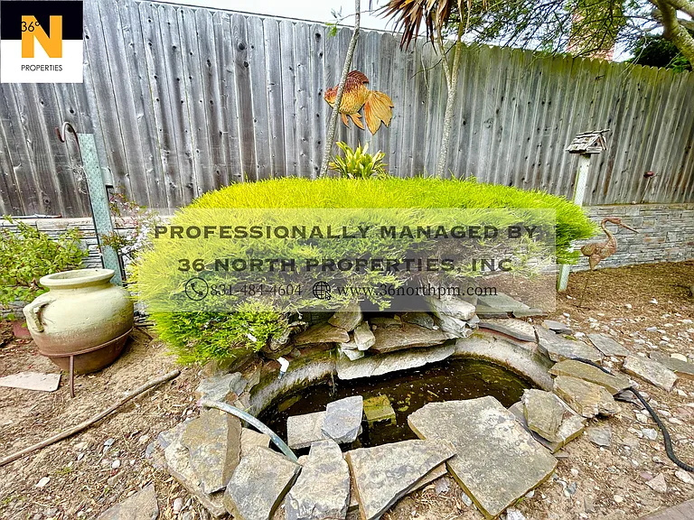3219 Vista Del Camino — Photo 16