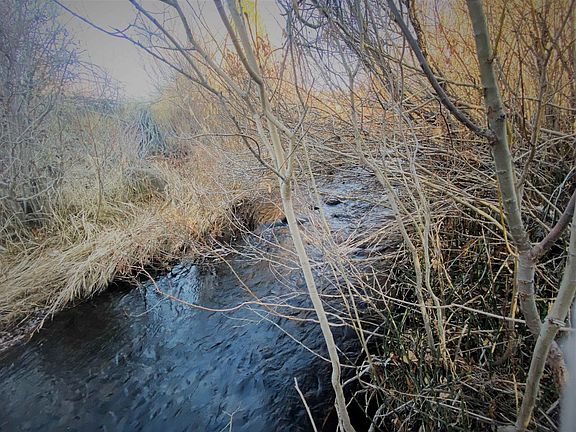 5th image of 924 Sierra Brooks Dr