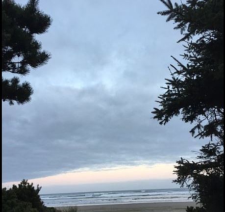 Sky, trees, and ocean