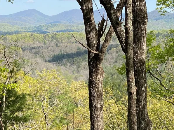 LOT 21 Raven Ridge Cir, Mineral Bluff, GA 30559