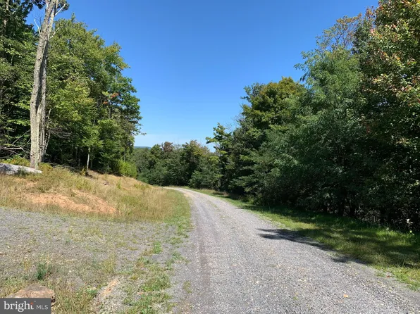 Goldenseal Rd, Petersburg, WV 26847