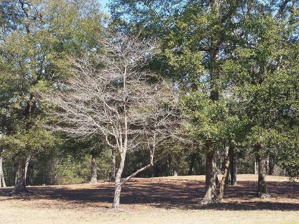 2nd image of 6226 Pebble Shore Lane LOT 31