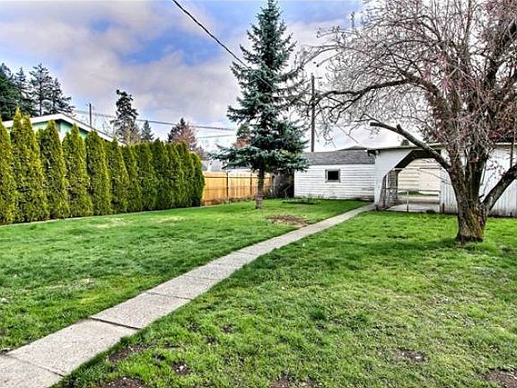 Back yard (fenced)