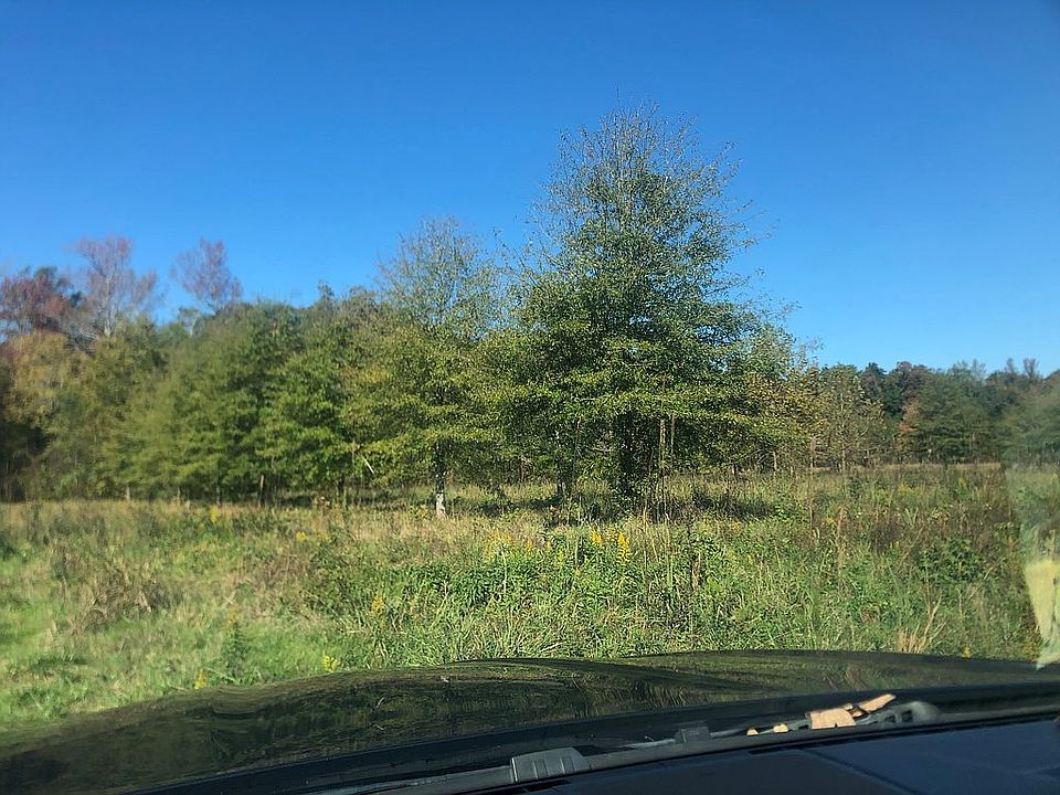 2nd image of 63 Scott Orchard Rd