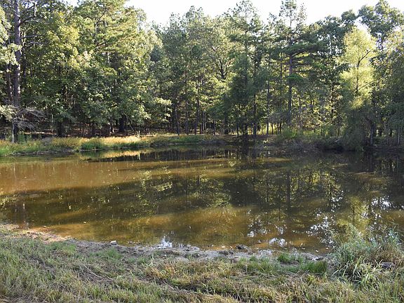 4th image of 17822 Blackfork Trl