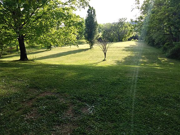 back yard, 400ft long, little pigeon river flows across back end behind that big willow.