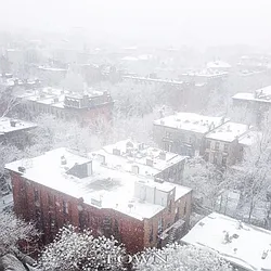 Sold by Town Residential