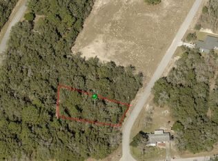 10112 N Halsey Way, Citrus Springs, FL 34434