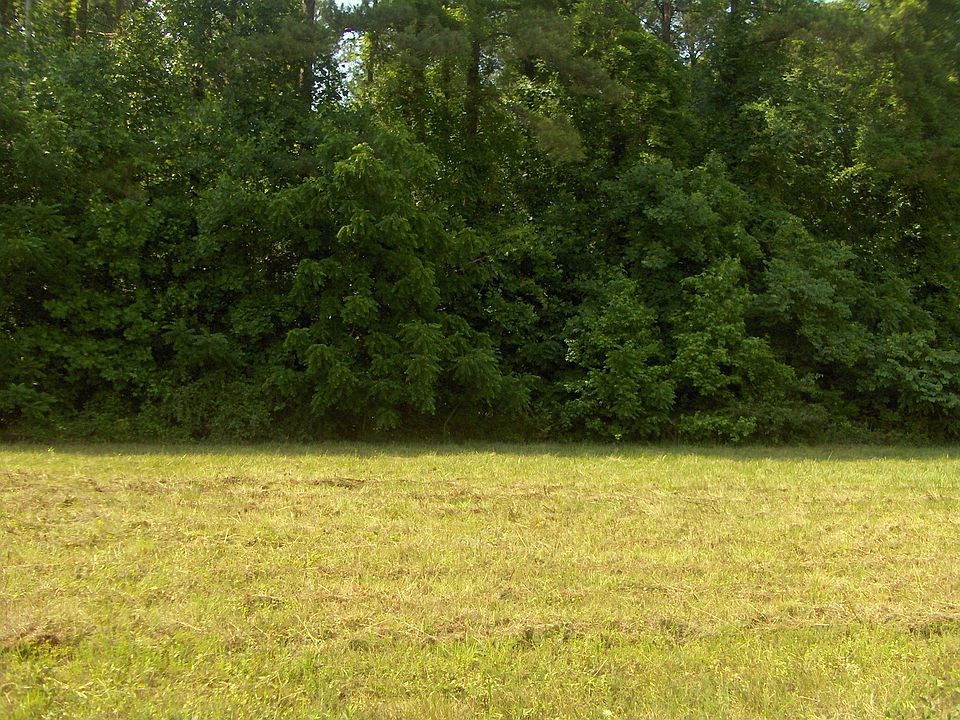 Cleared area in front of wooded 7.273 gorgeous acres!