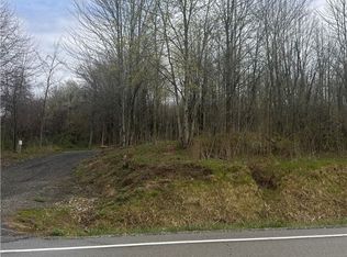 Clay St, Thompson, OH 44086