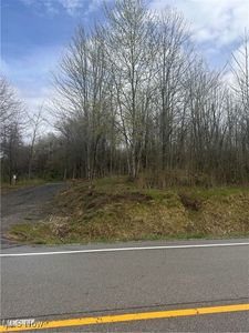 Clay St, Thompson, OH, 44086