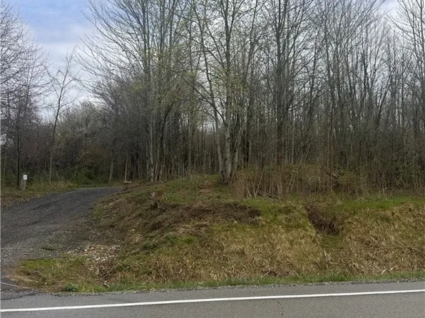 Clay St, Thompson, OH 44086