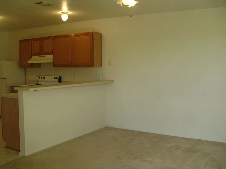 1100 Leslie Circle — Photo 7