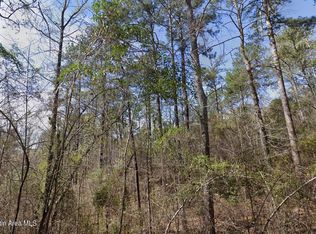 0 W Ridge Dr, Dadeville, AL 36853