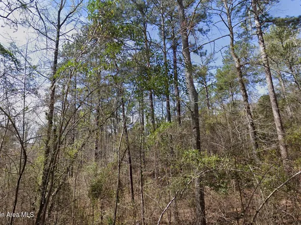 0 W Ridge Dr, Dadeville, AL 36853