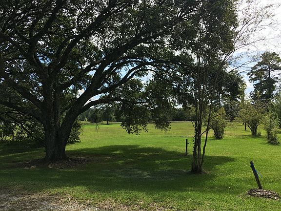 Lots of Lg Oak & Pecan Trees