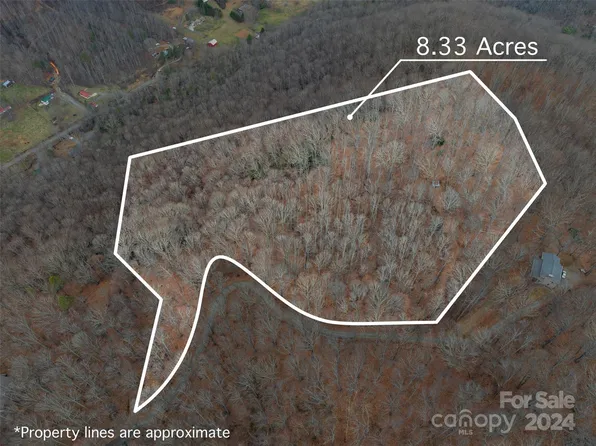 99999 Countryside Est, Barnardsville, NC 28709