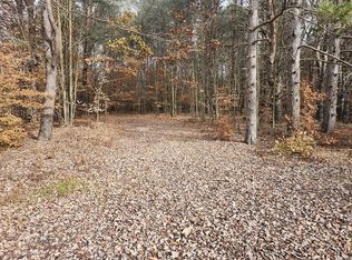 9 Mile Rd PARCEL B, Kaleva, MI 49645