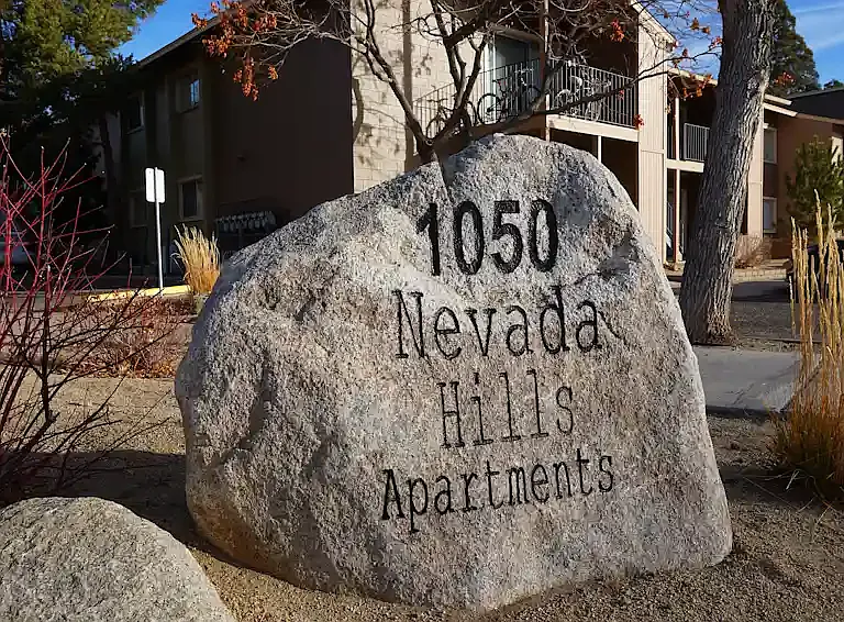Nevada Hills — Photo 2