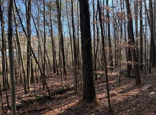 6 State Highway 11, Valley Head, AL 35989
