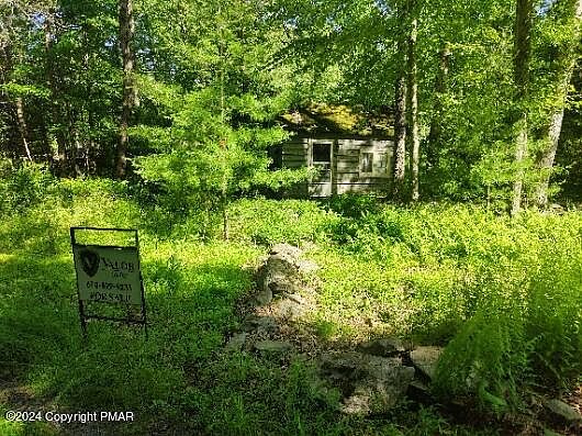 2nd image of Spruce Ln