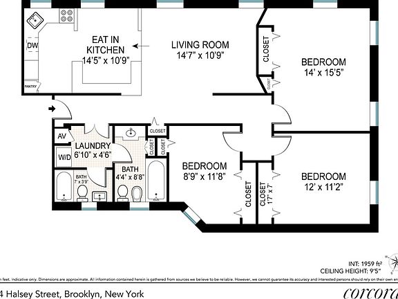 2nd image of 474 Halsey St APT 2R