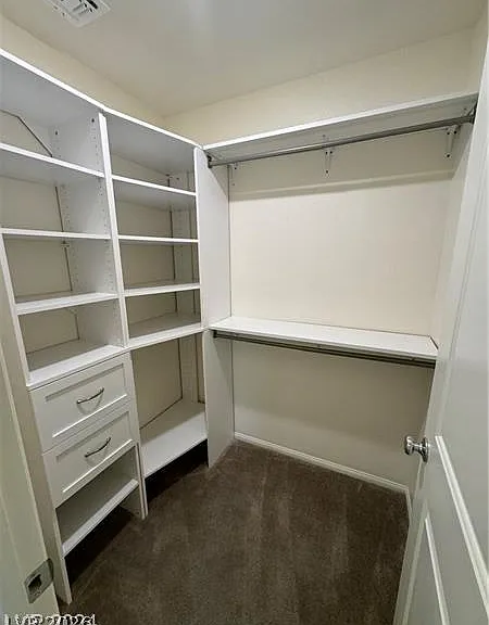 1003 Brilliant Meadow Ave — Photo 17