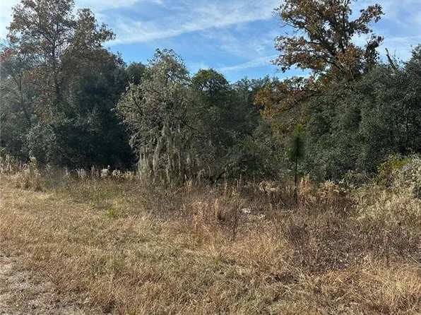 LOT 26 SE 133rd Ave Lot 26, Dunnellon, FL 34431