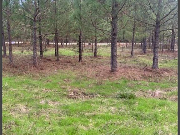 4th image of 4 Hidden Pines Loop