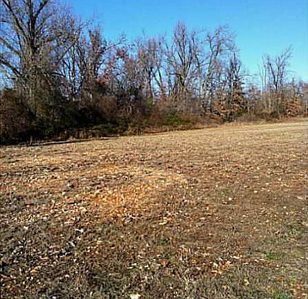 3rd image of 6010 Bannister Dr