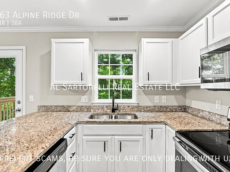 163 Alpine Ridge Dr — Photo 3