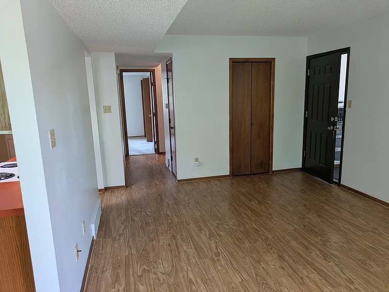 Front door on right, view down hallway, coat closet and 2 closets in hallway. Vinyl plank flooring