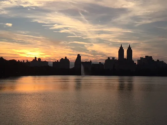 Rented by Owner | media 17