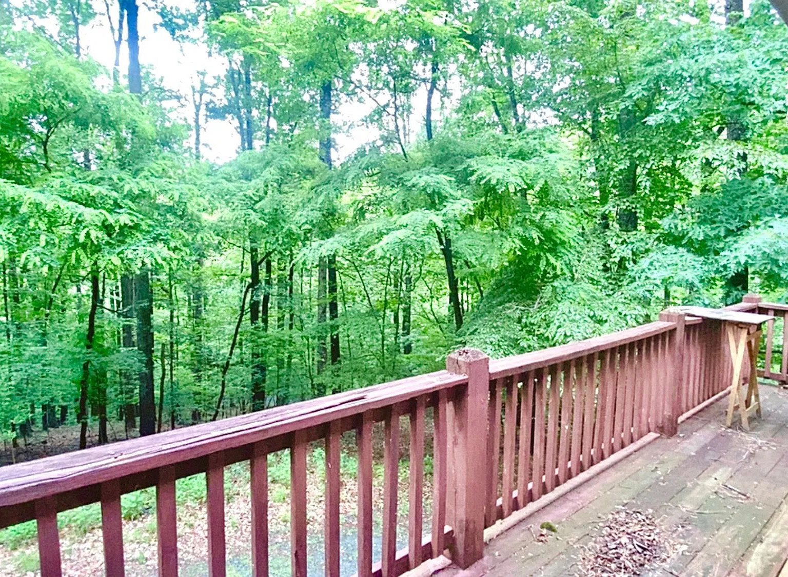 Lost Hollow Path 2484 - UPPER - Upper — Photo 2