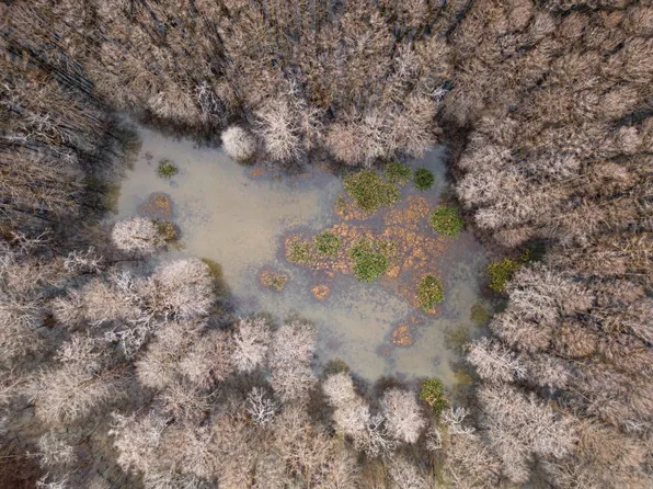 1001 Travelers Rest Rd, Lorman, MS 39096