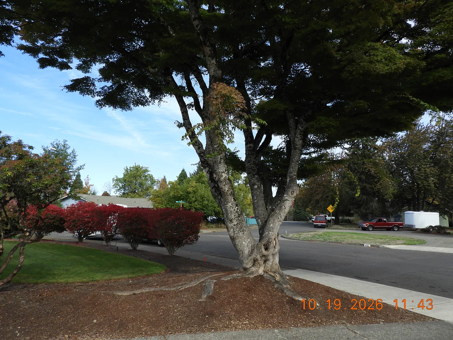460 Lindley Ln — Photo 4
