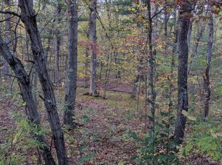 S V L Stakes Rd, Gowen, MI 49326