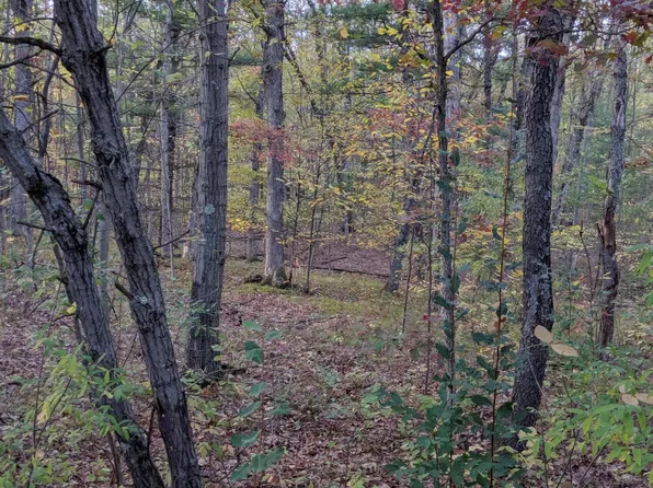 S V L Stakes Rd, Gowen, MI 49326