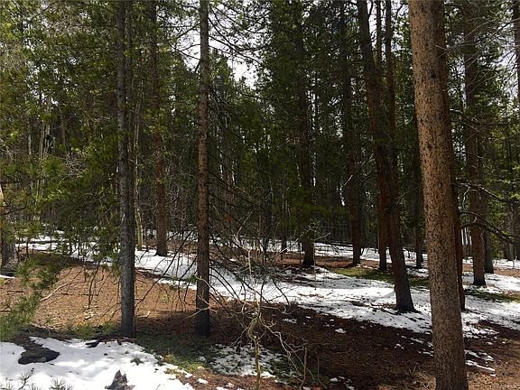 4th image of 2060 Lodgepole Dr