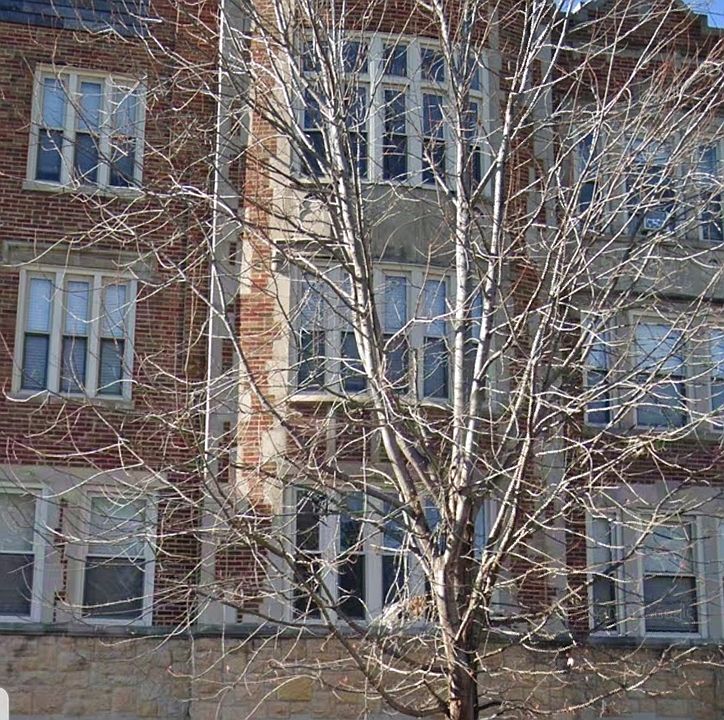 1st image of 50 N Menard Ave APT 3A