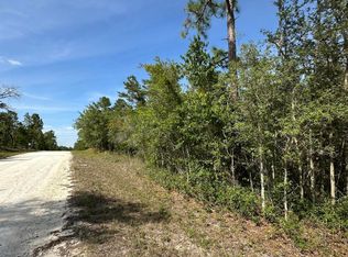 14106 Eastern Phoebe Rd, Brooksville, FL 34614