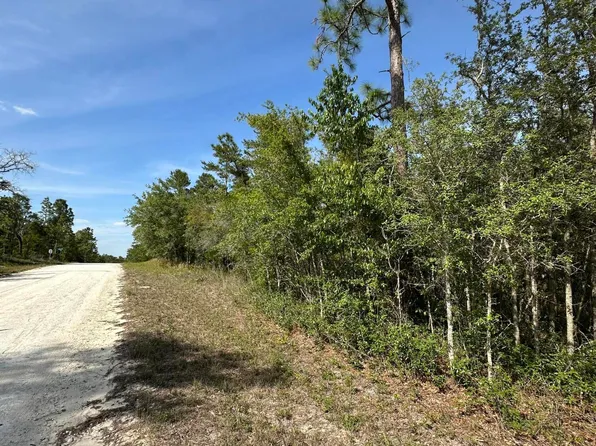 14106 Eastern Phoebe Rd, Brooksville, FL 34614