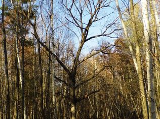 20500 W Baldwin Rd, Elsie, MI 48831