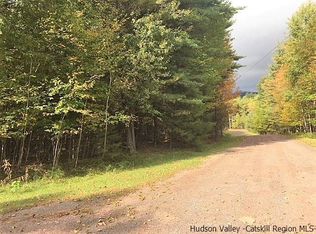 68 Vare Rd, Prattsville, NY 12468