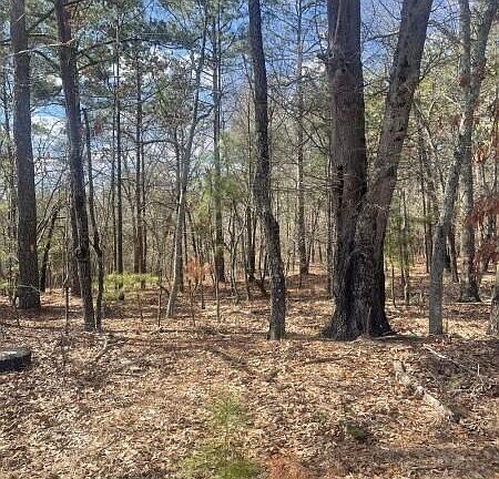 5th image of 0 N Horace Walters Rd