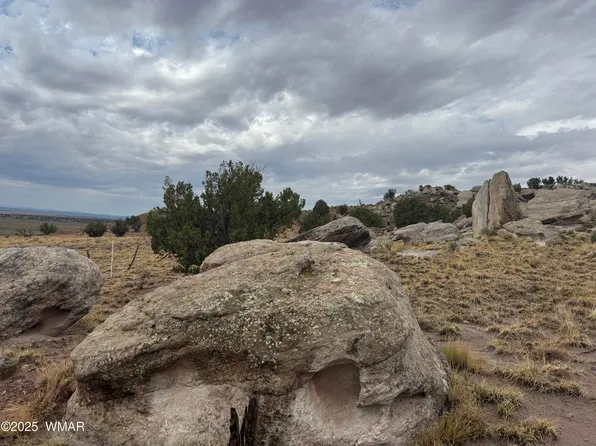 LOT 231 N9326, Concho, AZ 85924