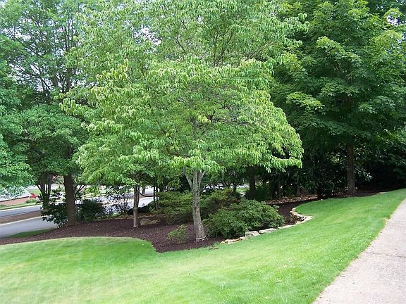 4th image of 2717 Country Ln
