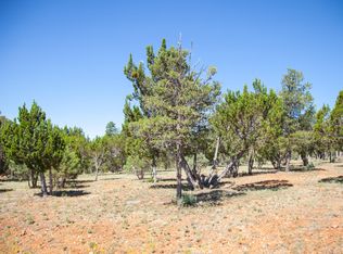 2764 Panther Cir, Overgaard, AZ 85933