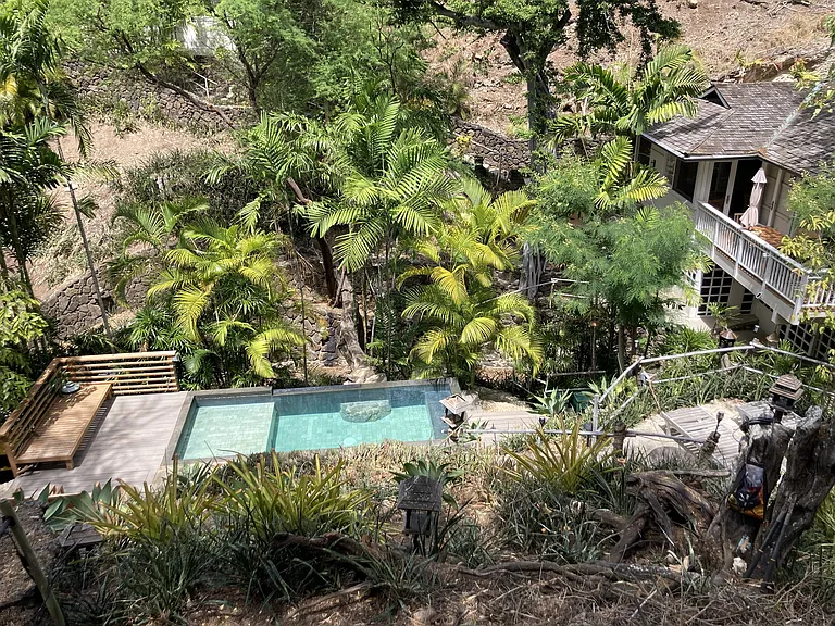 Outdoor pool surrounded by lush greenery secluded and peaceful with full sunlight